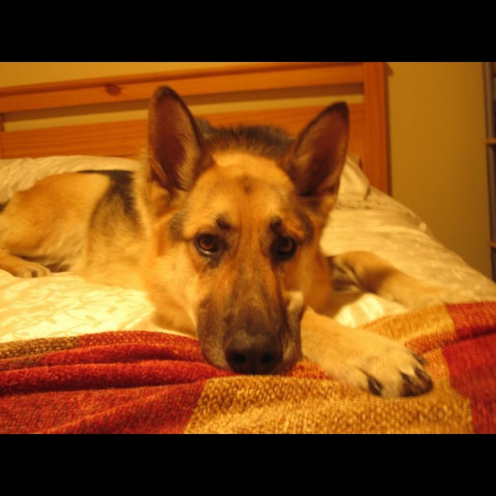 Meet your Posher, S.